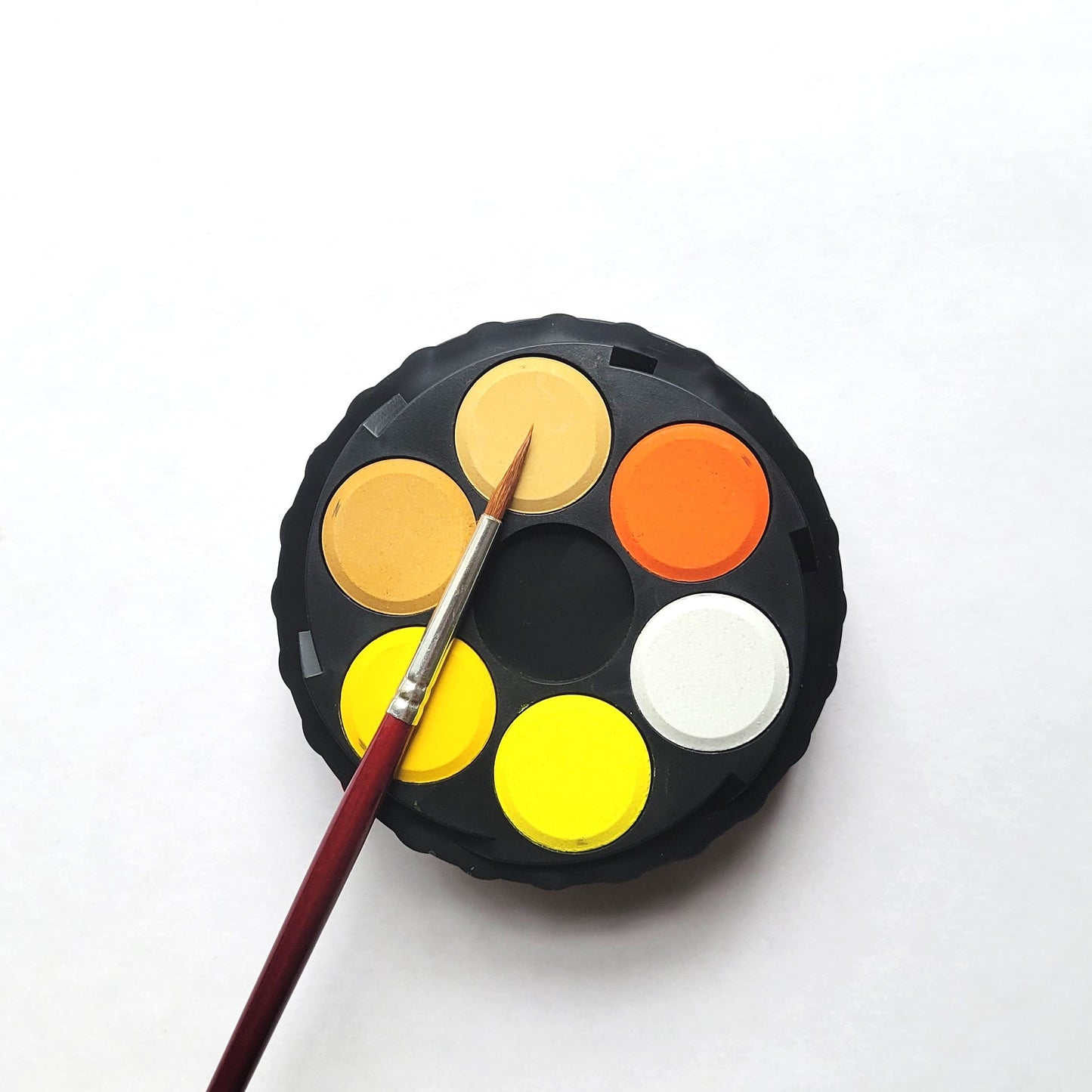 Watercolour Paintbrush